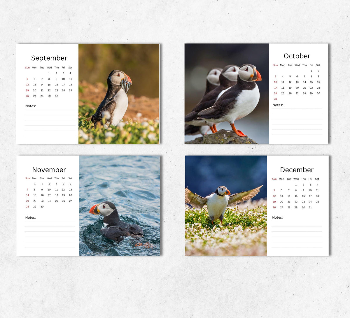 Puffins Desk Calendar 2027-2028: Standing Flip Desktop Calendar with Thick Paper (15.25cm x 22cm - similar to A5)
